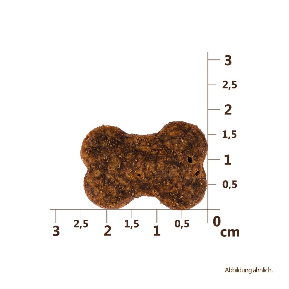 Carnilove Hund Premium Crunchy Snack Ostrich with Blackberries Strauß mit Brombeeren Größe
