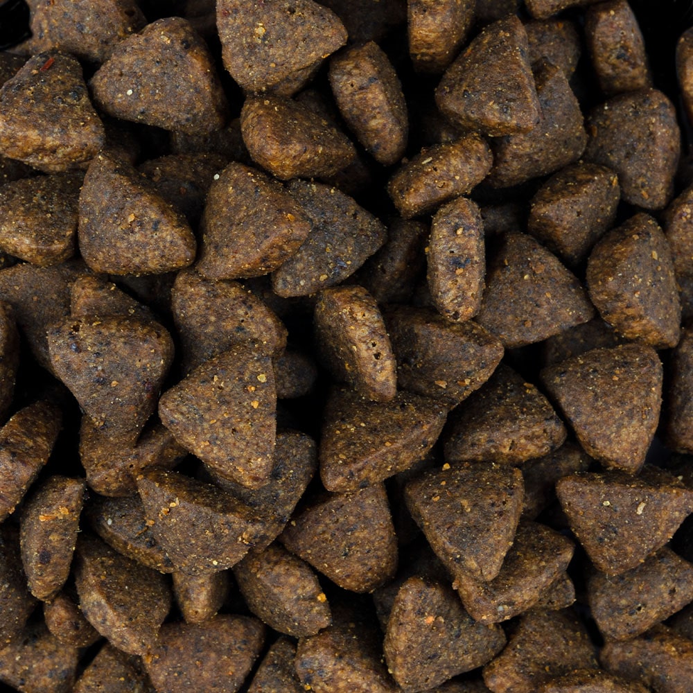 Carnilove Hund Premium Trockenfutter Salmon Adult Lachs ausgewachsene Hunde Detailbild