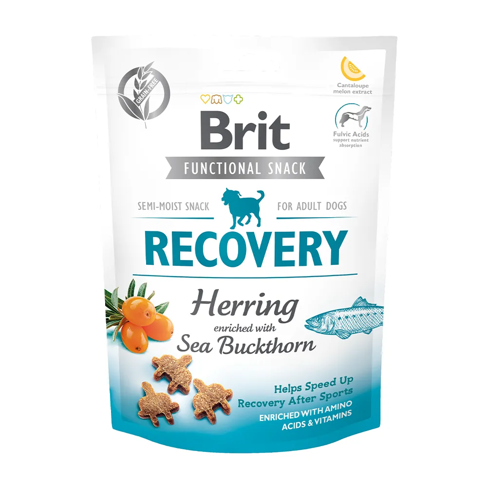 Brit Hund Premium Functional Snacks Recovery Herring Sea Buckthorn Erholung Hering Sanddorn Verpackung 150g
