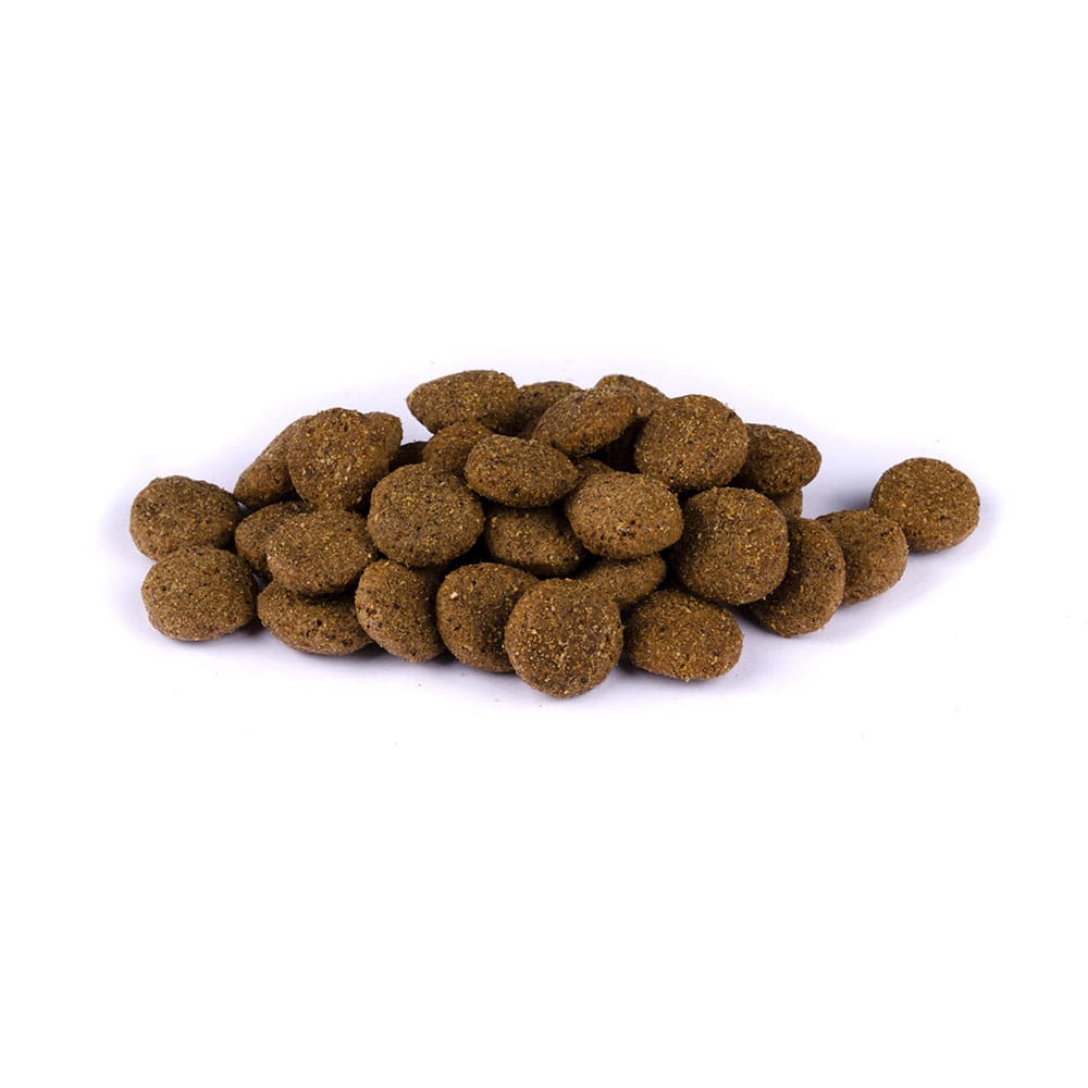 Christopherus Premium Trockenfutter für Hunde erwachsener und ausgewachsener Hund Sorte Leichte Kost Bild vom Trockenfutter
