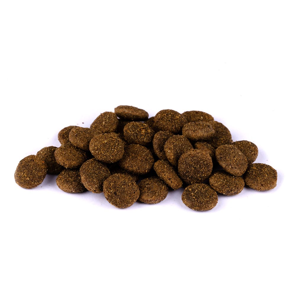 Christopherus Getreidesfreies Premium Trockenfutter für Hunde erwachsener und ausgewachsener Hund Sorte Leichte Kost Lamm und Kartoffel Bild vom Trockenfutter