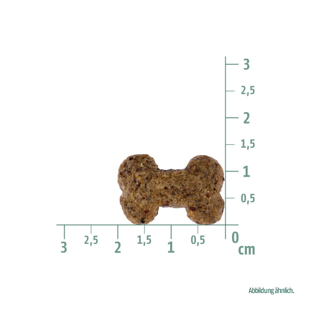 Christopherus Hund Vegetarisch Vegetarian Snack Crunchy Cracker Apfel mit Linsen Größe des Snacks